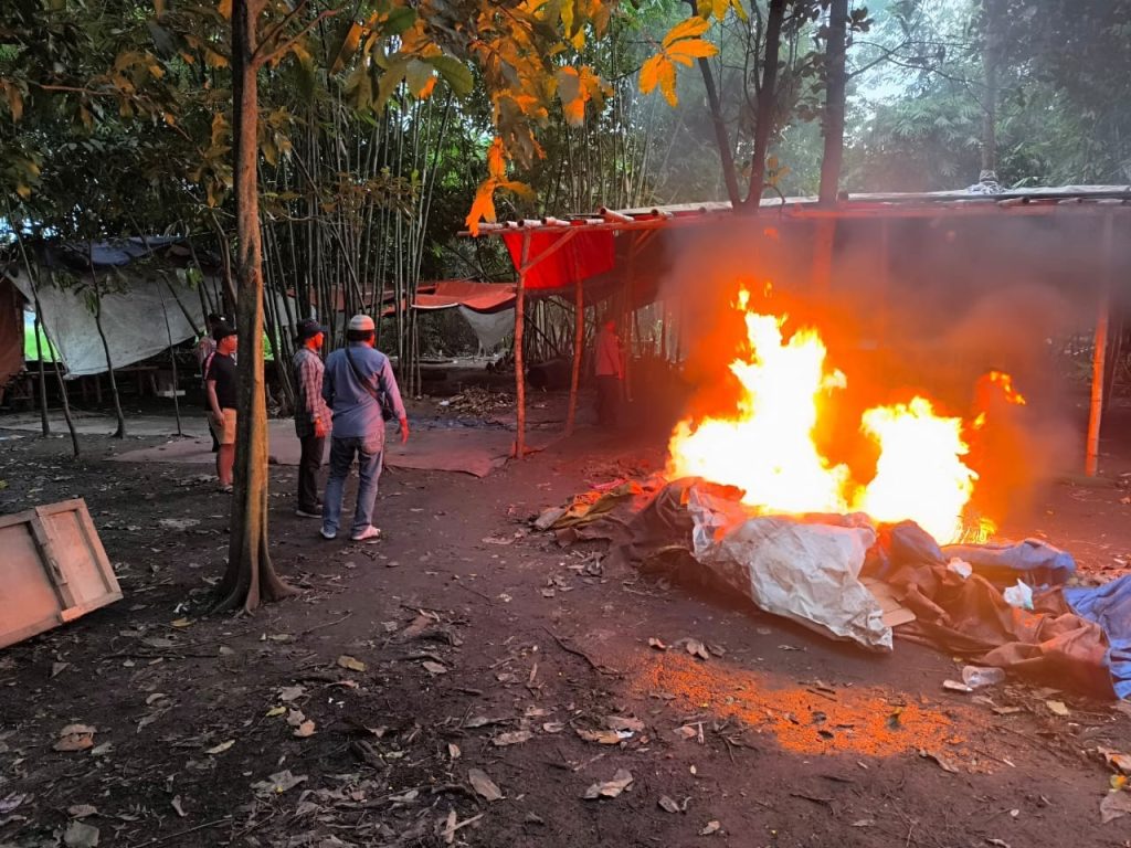 Aksi Cepat Polsek Tarik Grebek Arena Sabung Ayam