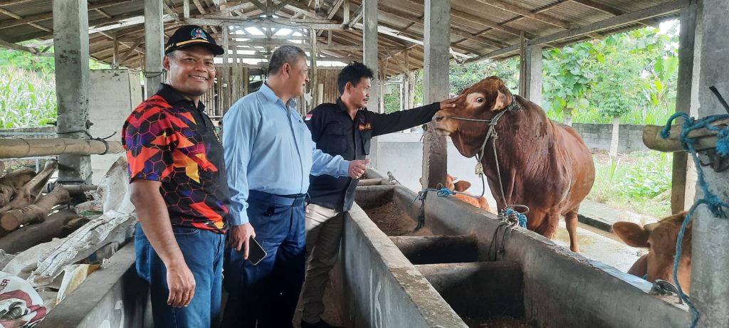 Kunjungan Ketua DPW & Pembina Progib Jatim di Kampung Sapi, aksi nyata dukung program ketahanan pangan & peternakan Pemerintah Republik Indonesia.