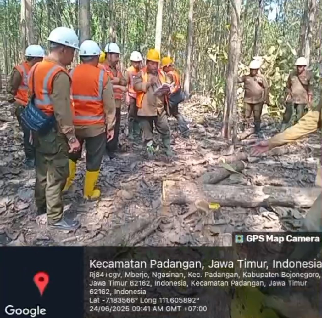 KPH Padangan BKPH Tobo: Penjarangan bertujuan pohon berkualitas tinggi, Pelaksanaan sesuai SOP dan K3